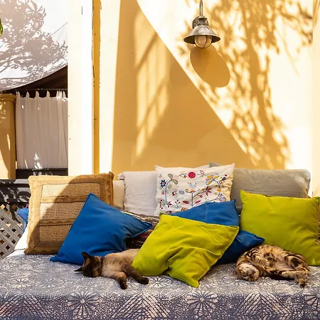 Geronimo Belem Gæstehus Lisboa